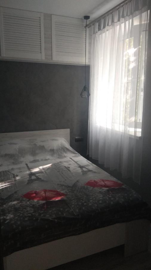 Super Apartment On O.Polya 137 第聂伯罗彼得罗夫斯克 外观 照片